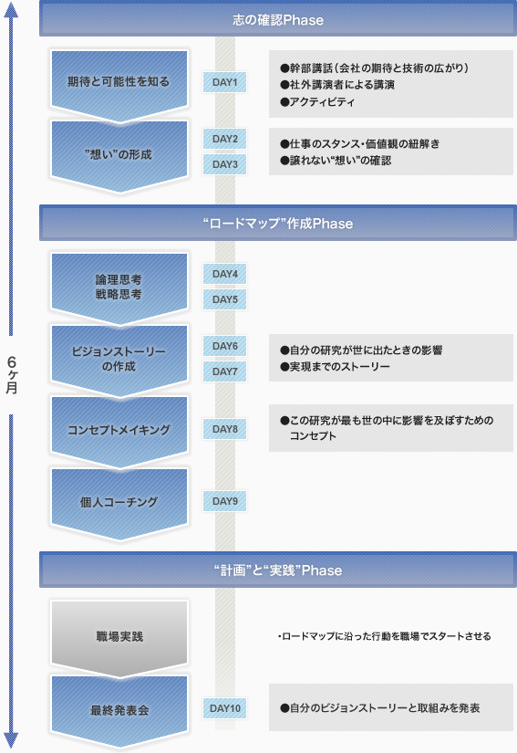 若手研究者のブレークスルー力の向上